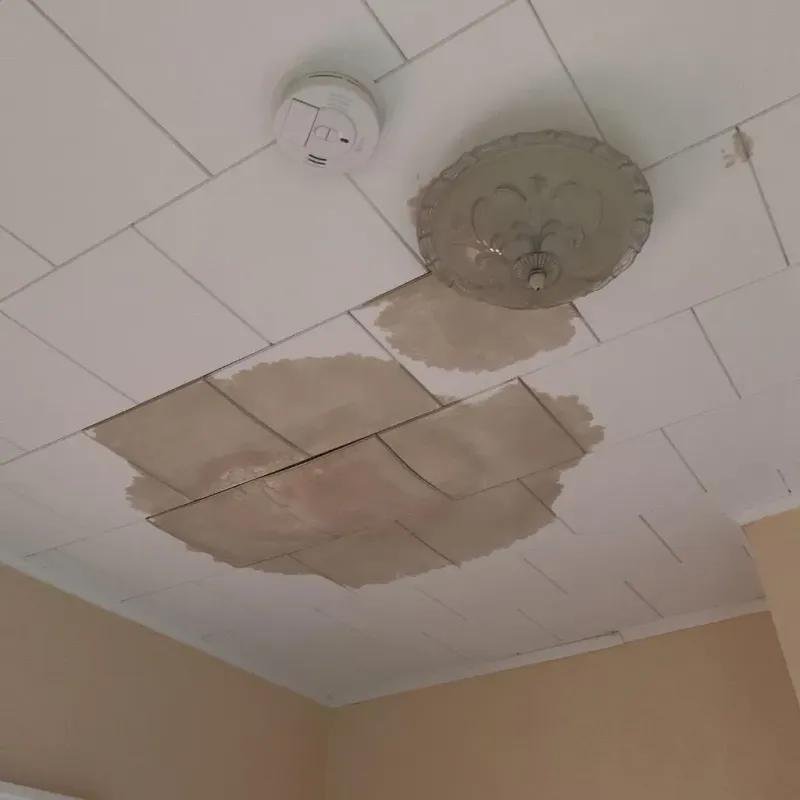 Ceiling Water Damage Repair in Brookhaven, MS