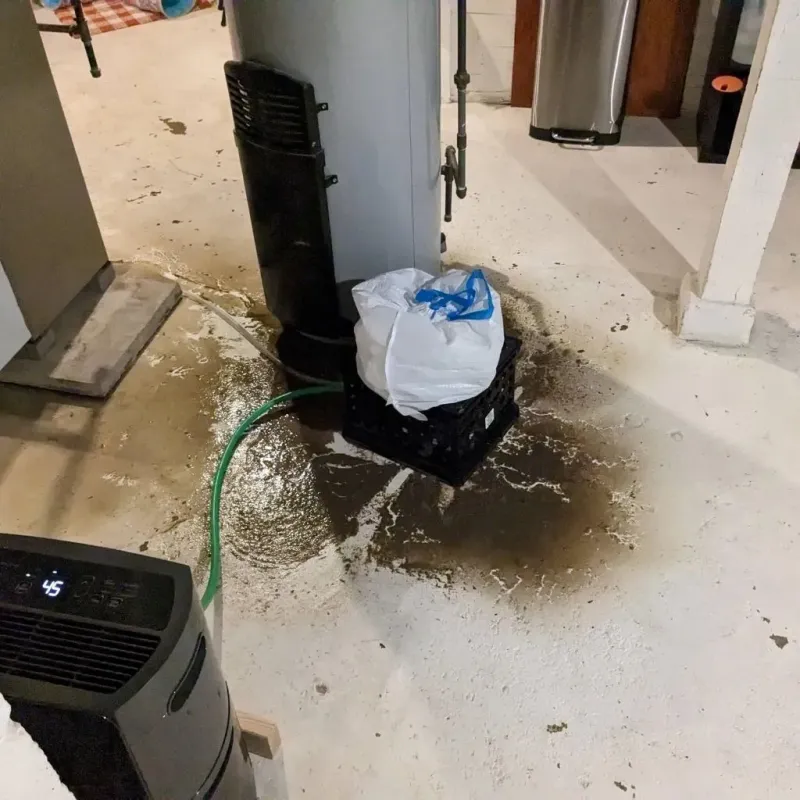 Sewage Backup Cleanup Service in Brookhaven, MS
